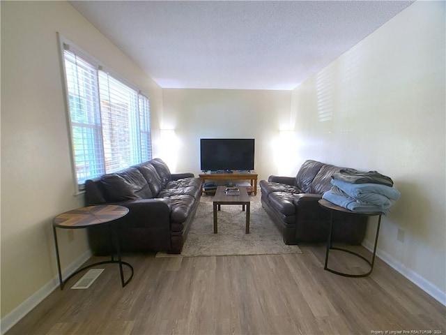 living room featuring wood-type flooring