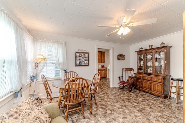 dining room featuring ceiling fan and ornamental molding