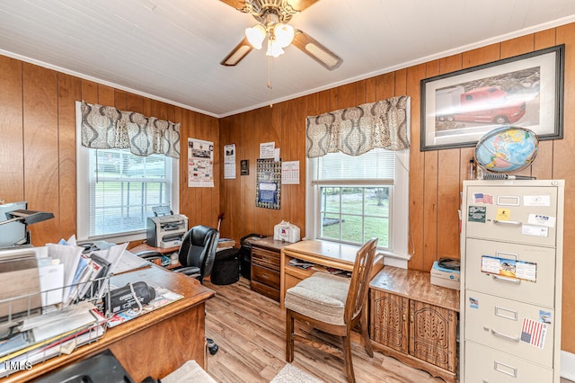 office space with ceiling fan, ornamental molding, wood walls, and light hardwood / wood-style floors