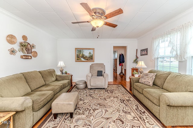 living room featuring ceiling fan, ornamental molding, and hardwood / wood-style floors