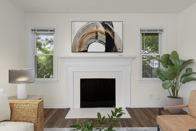 living room featuring plenty of natural light, dark hardwood / wood-style floors, and a fireplace