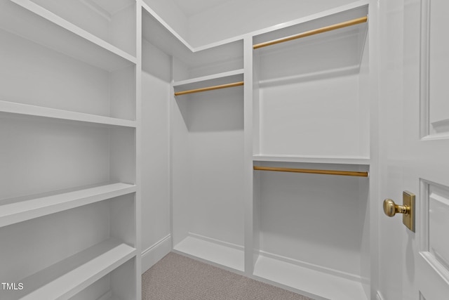 walk in closet with carpet flooring