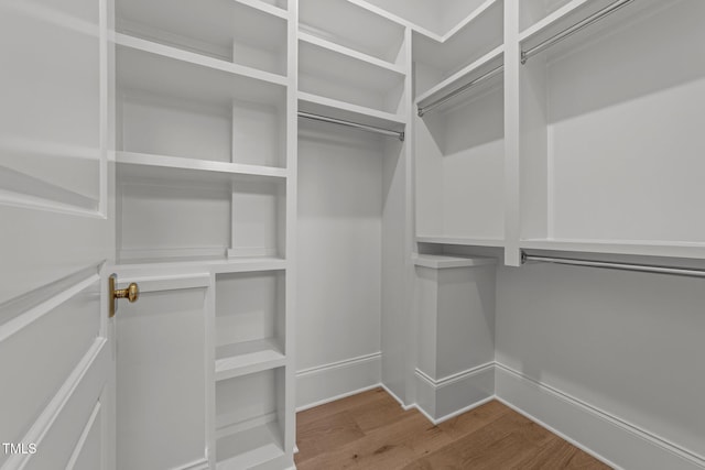 walk in closet with hardwood / wood-style flooring