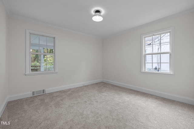 unfurnished room featuring ornamental molding and carpet