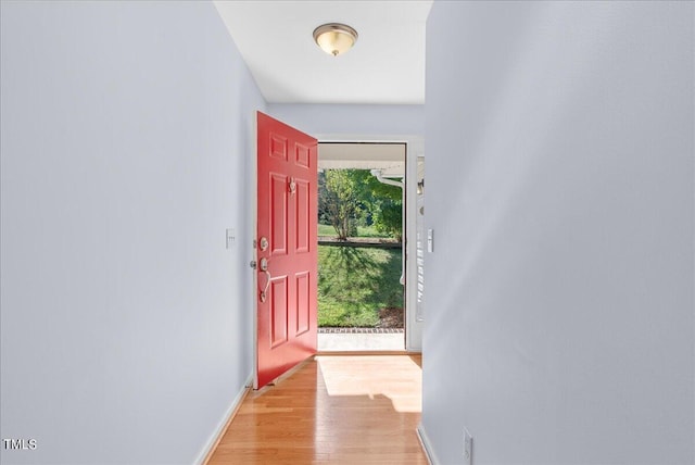 entryway with light wood-type flooring and a wealth of natural light