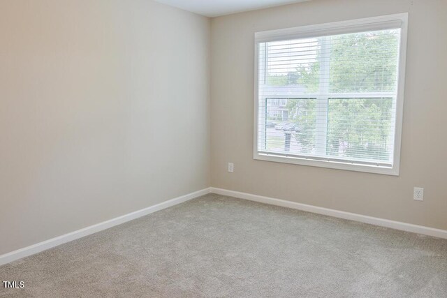 727 Putney Hill Rd, Zebulon, NC 27597 - photo 19