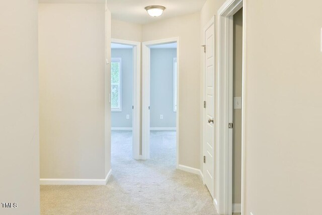 727 Putney Hill Rd, Zebulon, NC 27597 - photo 21