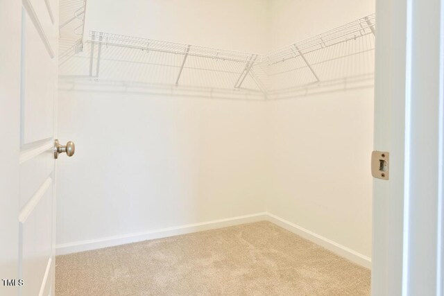 727 Putney Hill Rd, Zebulon, NC 27597 - photo 15