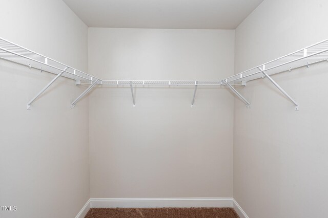 walk in closet featuring carpet flooring