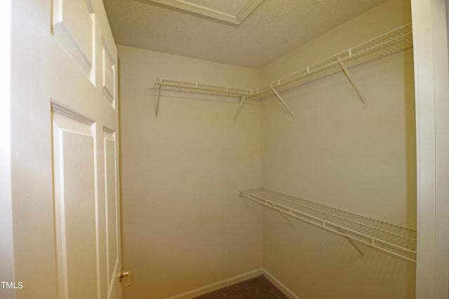 spacious closet featuring carpet