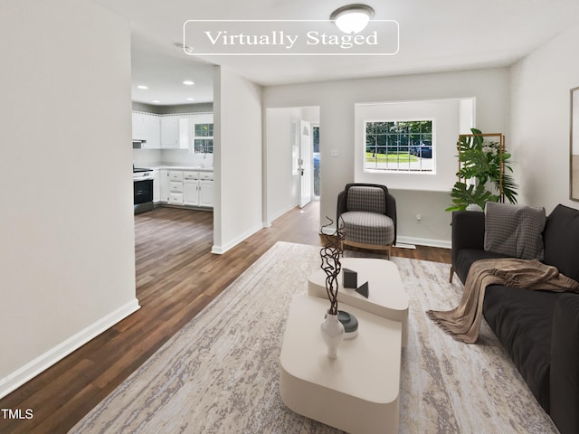 living room with hardwood / wood-style flooring