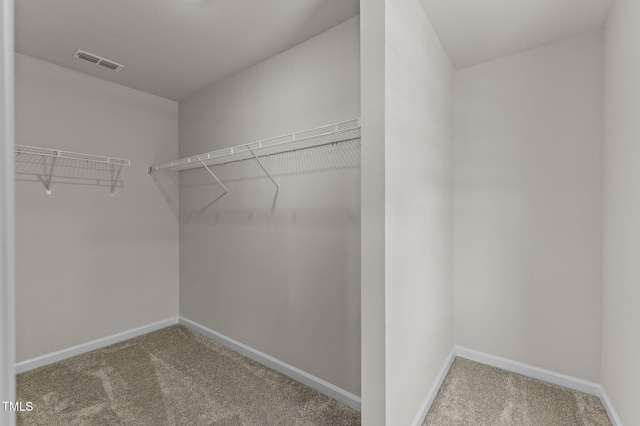 spacious closet featuring carpet flooring