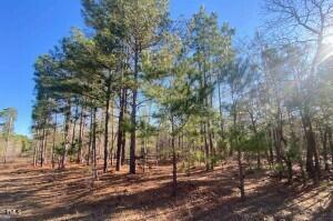 0 Gurney Ln, Raeford, NC 28376