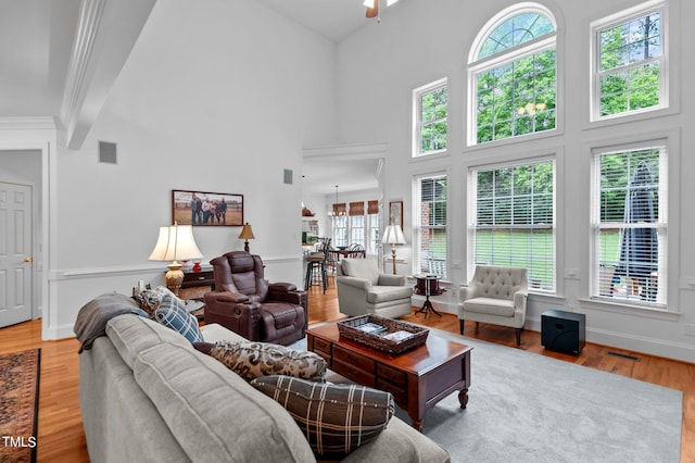 living room featuring light hardwood / wood-style flooring, a towering ceiling, and a healthy amount of sunlight