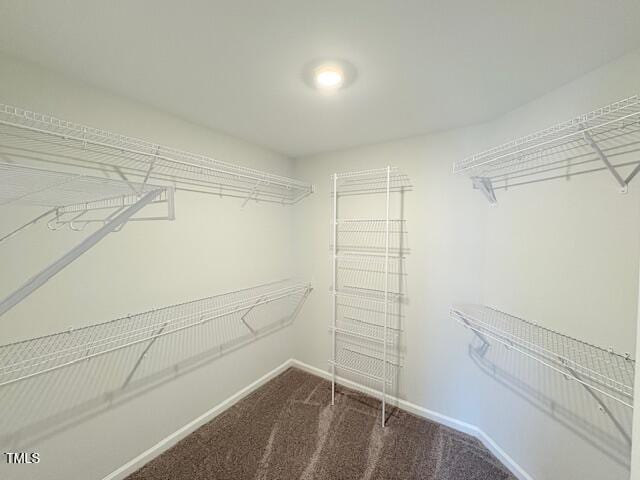 walk in closet featuring carpet