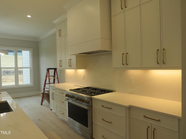 kitchen with decorative backsplash, custom exhaust hood, high end stainless steel range, light hardwood / wood-style floors, and crown molding