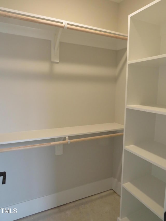 view of spacious closet