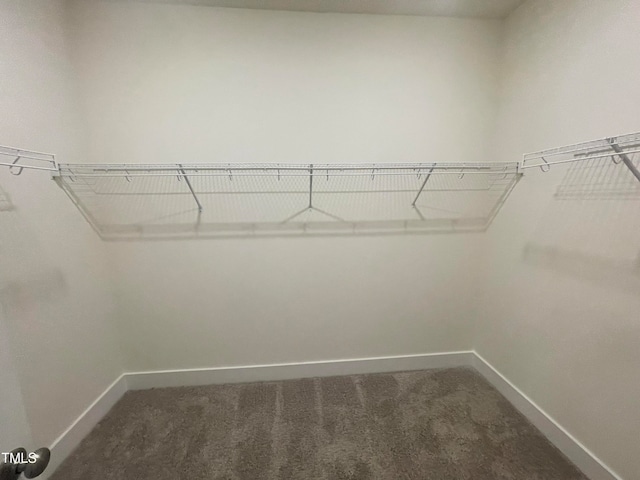 walk in closet with dark colored carpet