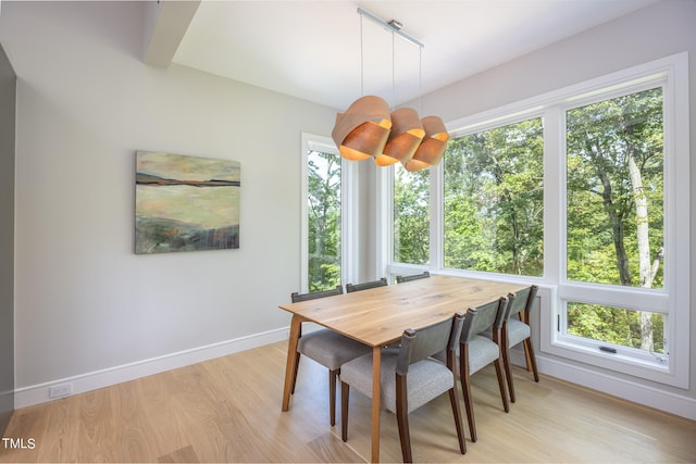 dining space featuring light wood-type flooring and a wealth of natural light