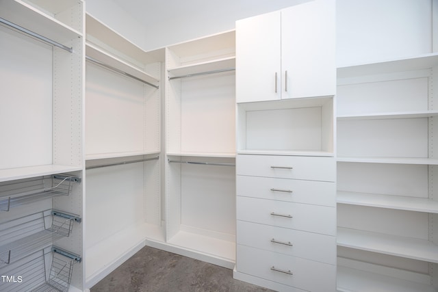 view of spacious closet