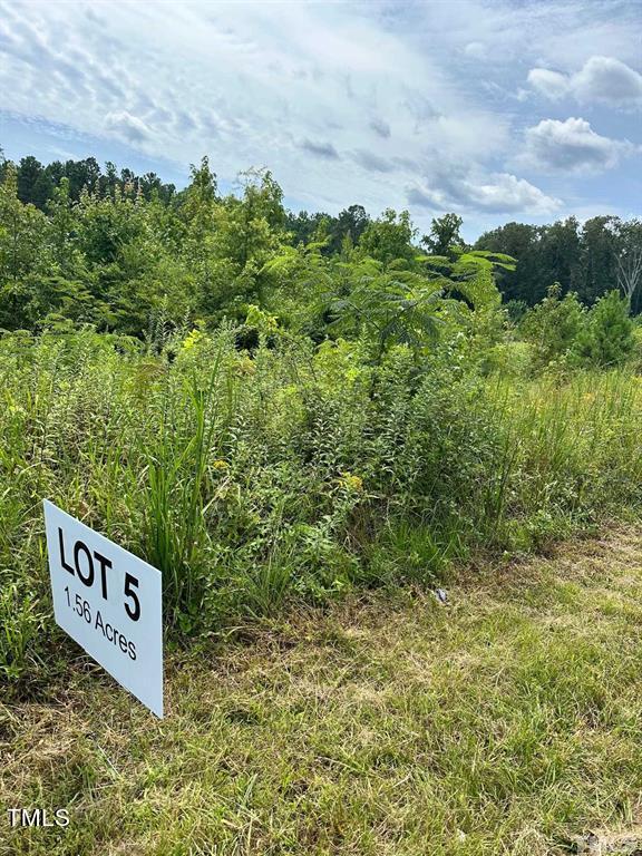 3218 Bruce Garner Rd, Creedmoor NC, 27522 land for sale