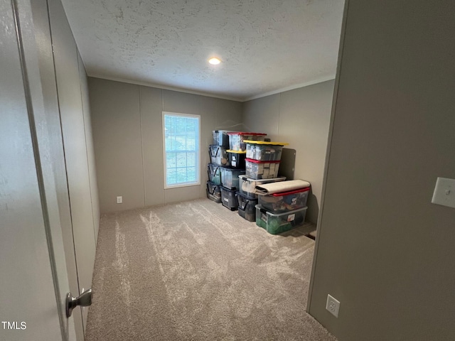 interior space with light carpet, a textured ceiling, and ornamental molding