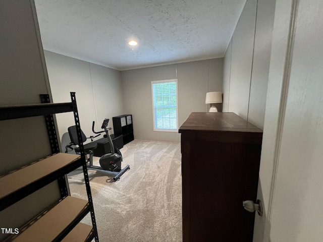 interior space featuring a textured ceiling and carpet floors