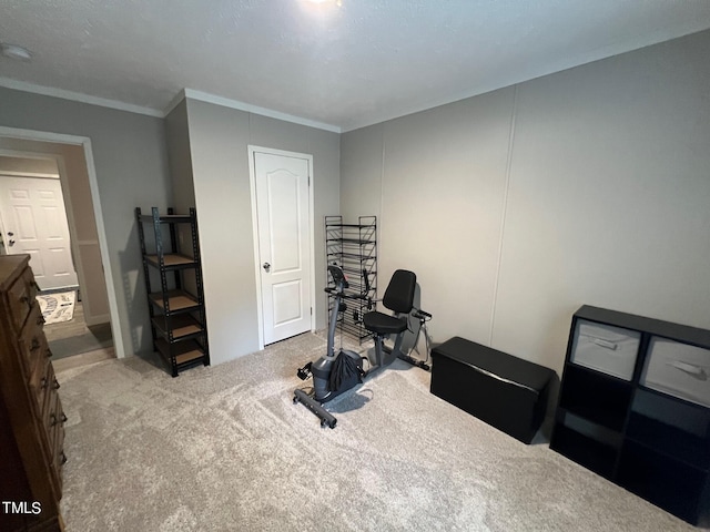 workout area featuring light carpet, a textured ceiling, and crown molding