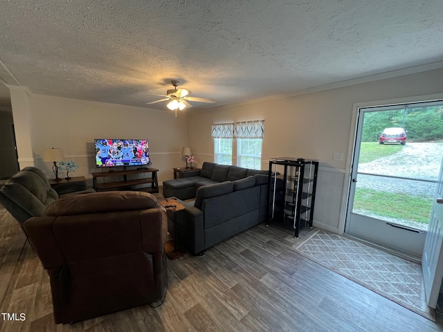 living room featuring ornamental molding, wood-type flooring, ceiling fan, and a textured ceiling