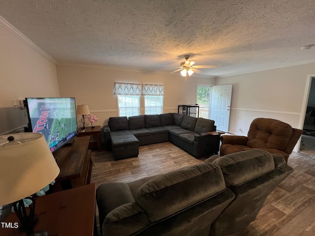 living room featuring ceiling fan, hardwood / wood-style floors, and a textured ceiling