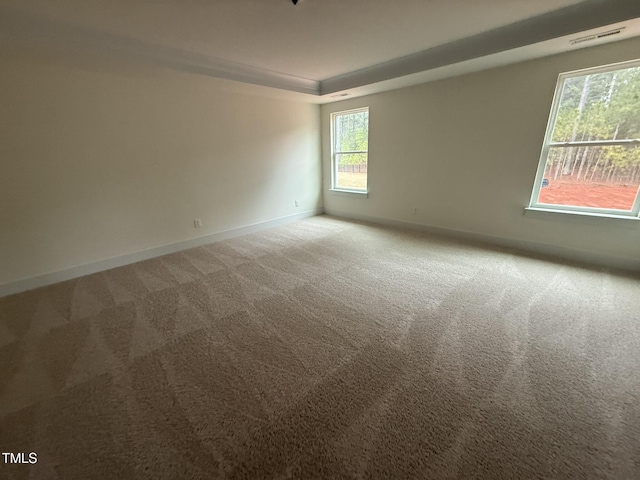 empty room with carpet floors and a tray ceiling