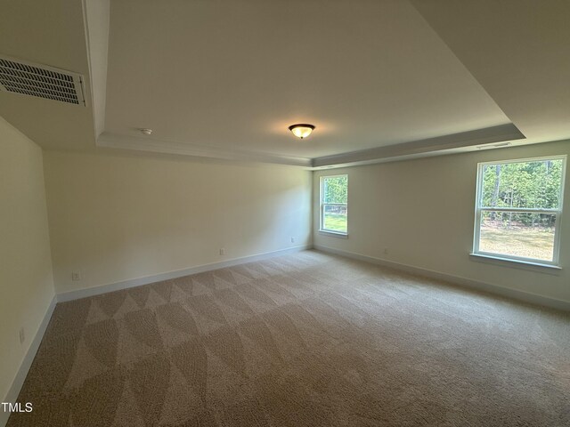 135 Green Haven Blvd Lot # 1, Youngsville, NC 27596 - empty room with light carpet, a tray ceiling, and baseboards