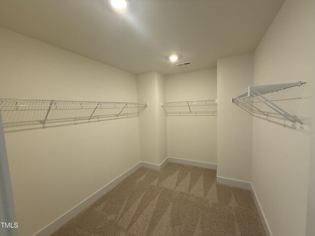 135 Green Haven Blvd Lot # 1, Youngsville, NC 27596 - spacious closet featuring carpet flooring