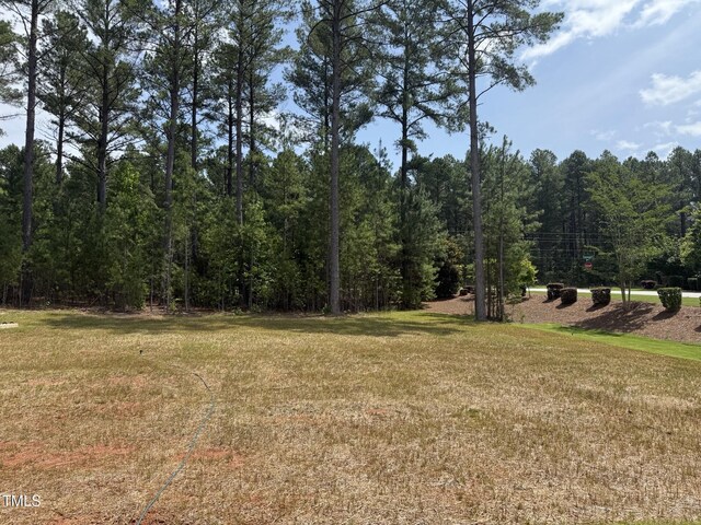 135 Green Haven Blvd Lot # 1, Youngsville, NC 27596 - view of wooded area