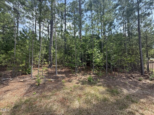 135 Green Haven Blvd Lot # 1, Youngsville, NC 27596 - view of nature