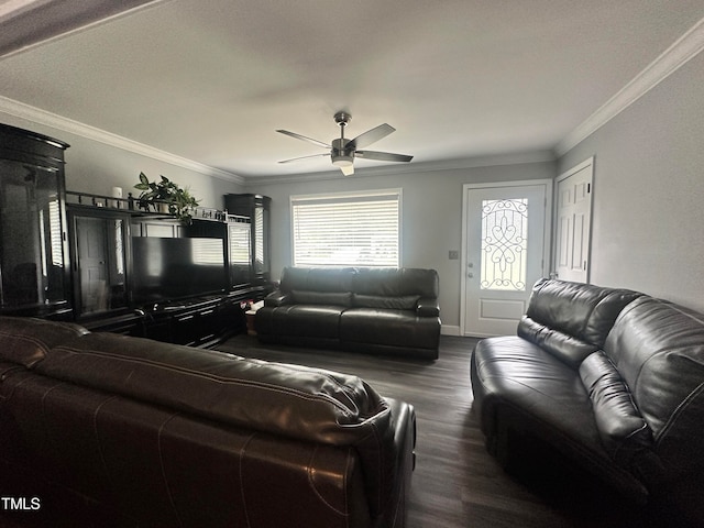 living room featuring ceiling fan, dark wood-type flooring, and crown molding