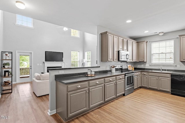 kitchen featuring appliances with stainless steel finishes, plenty of natural light, and light hardwood / wood-style floors