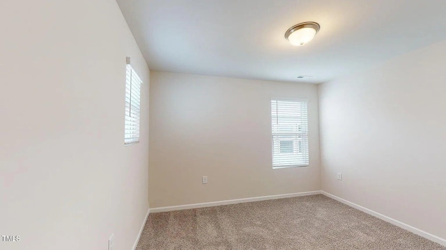 spare room featuring light carpet