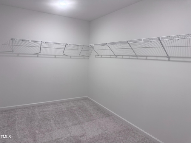 spacious closet with carpet