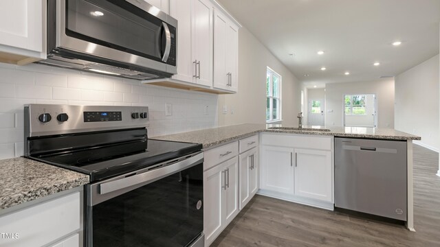 kitchen with a peninsula, a sink, recessed lighting, wood finished floors, and appliances with stainless steel finishes