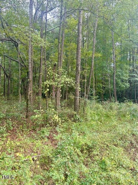 0 Greenwood Rd, Sanford, NC 27330 - photo 2