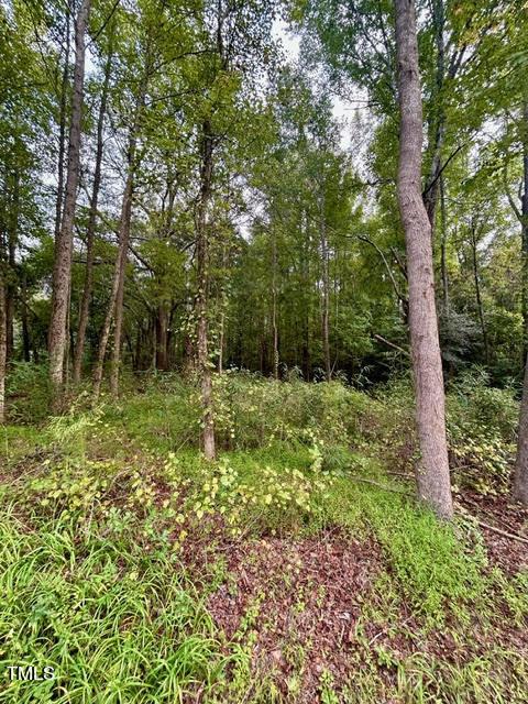 0 Greenwood Rd, Sanford, NC 27330 - photo 3