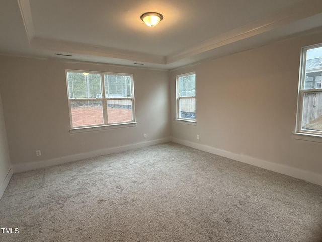 carpeted spare room featuring a raised ceiling