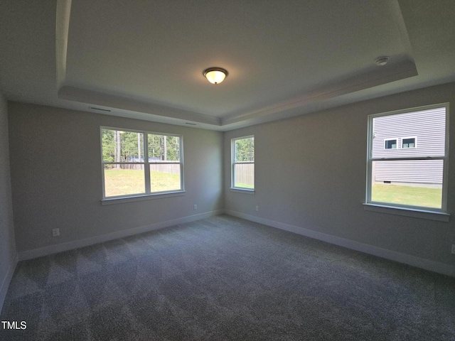 145 Green Haven Blvd Lot # 83, Youngsville, NC 27596 - carpeted empty room featuring a tray ceiling and baseboards
