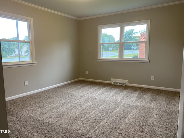 carpeted spare room featuring crown molding