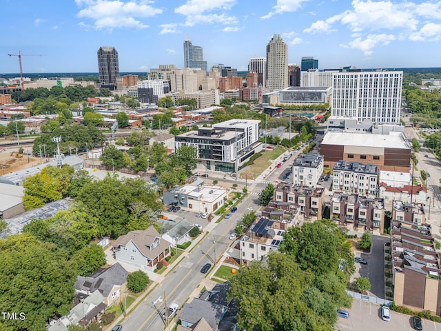 515 W Lenoir St Unit 101, Raleigh, NC 27601 - photo 49