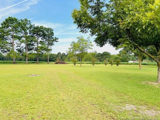 view of green lawn