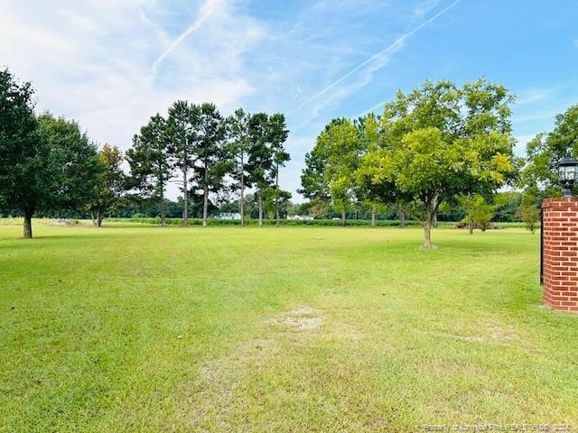 view of green lawn