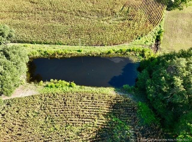 birds eye view of property with a water view and a rural view