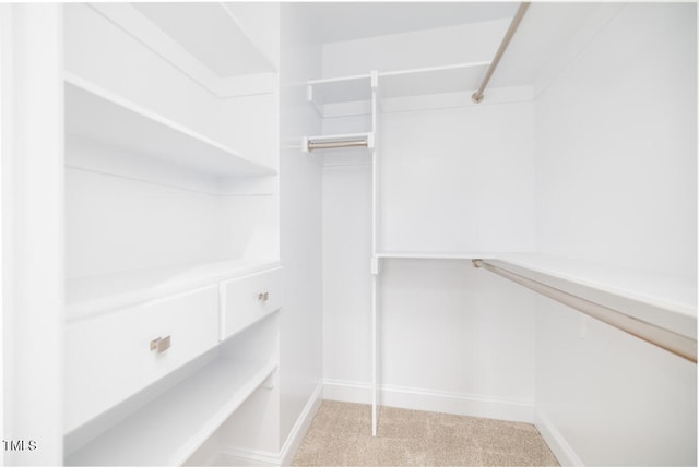 walk in closet with light colored carpet